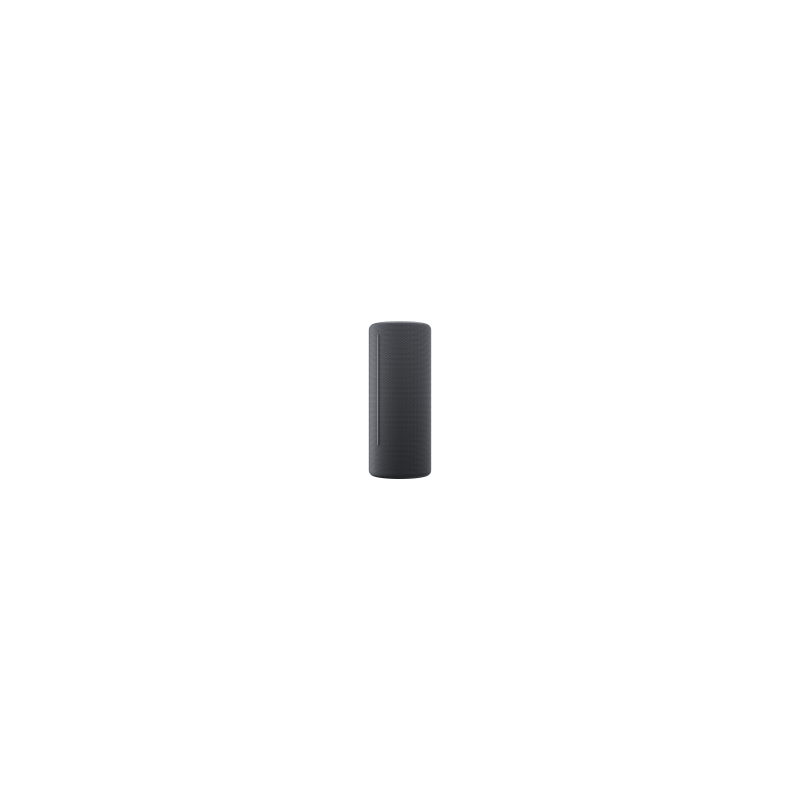 WE. HEAR 2 By Loewe Portable Speaker 60W, Storm Grey