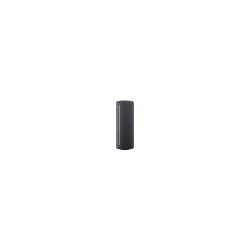 WE. HEAR 1 By Loewe Portable Speaker 40W, Storm Grey